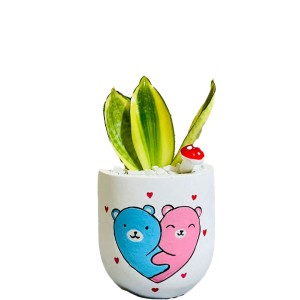 Eco Hug Haven Pot ( Hug Day )