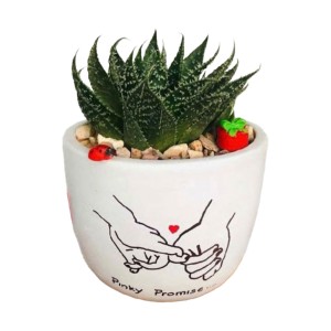 Promise Leaf Pot ( Promise Day )