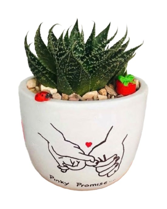 Promise Leaf Pot ( Promise Day )
