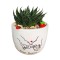 Promise Leaf Pot ( Promise Day )