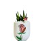 Heartwarming Floral Pot ( Rose Day )