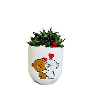 Teddy's Garden Pot ( Teddy Day )