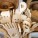 Woodenware