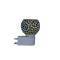 Electric  Diffuser