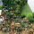 Garden Decor