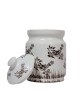 Multi Use Ceramic Storage Jar (Set Of 1)