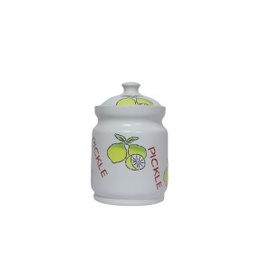 Multi Use Ceramic Storage Jars (Set of 1)