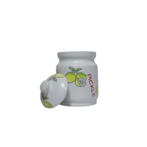 Multi Use Ceramic Storage Jars (Set of 1)