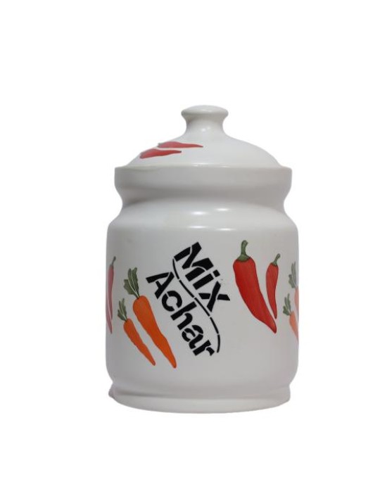 Multi Use Ceramic Storage Jars (Set of 1)